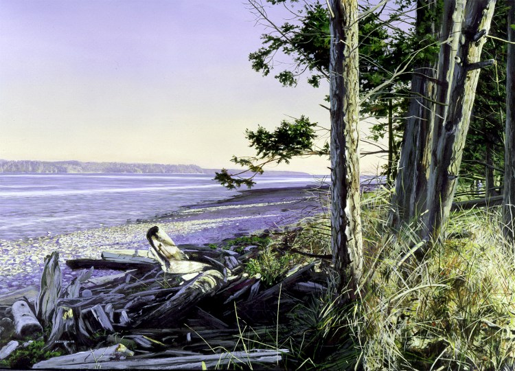 Rebecca Spit, Quadra Island 